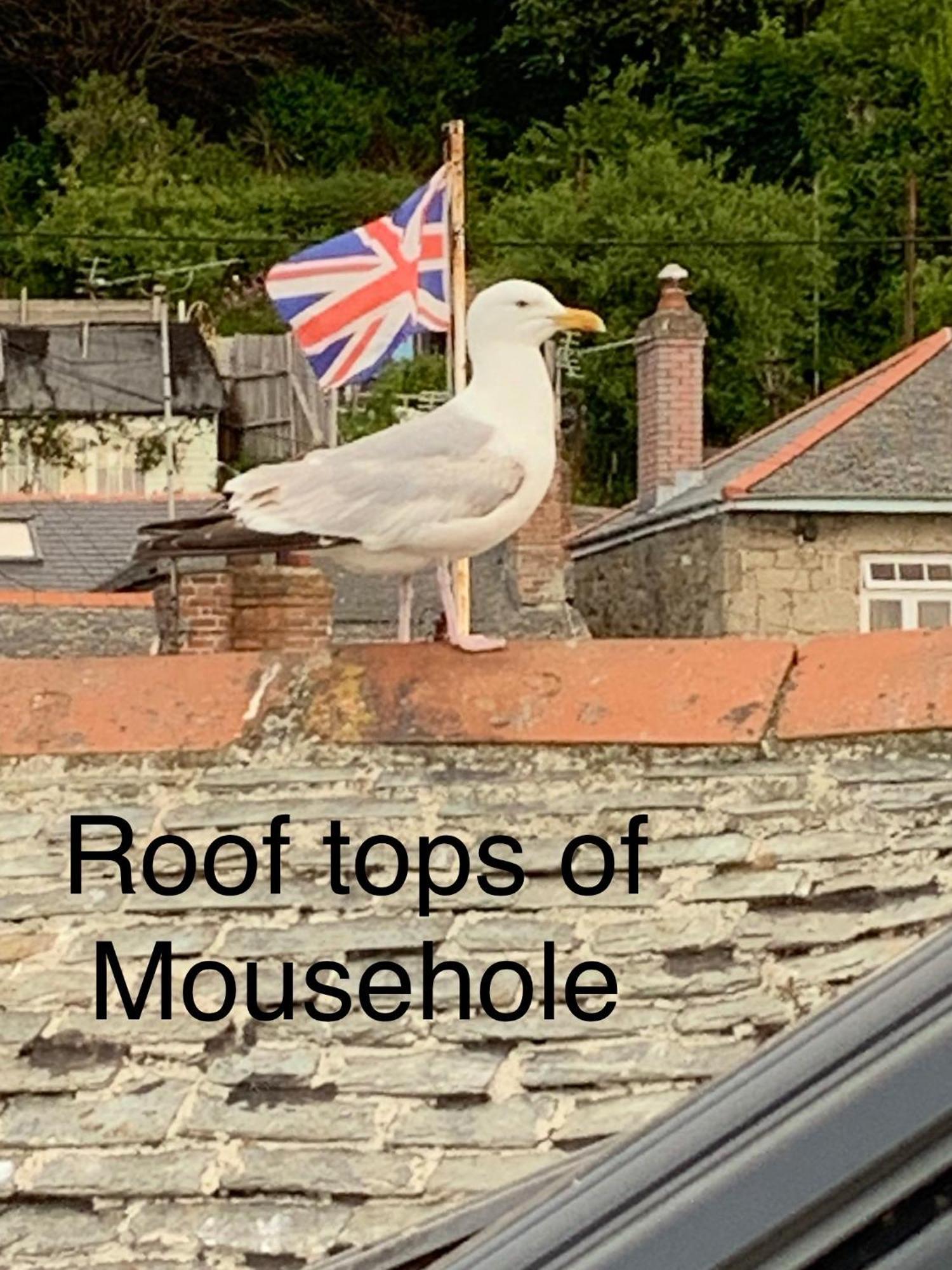 The Seawitch - Harbourside Apartment Mousehole Exterior foto